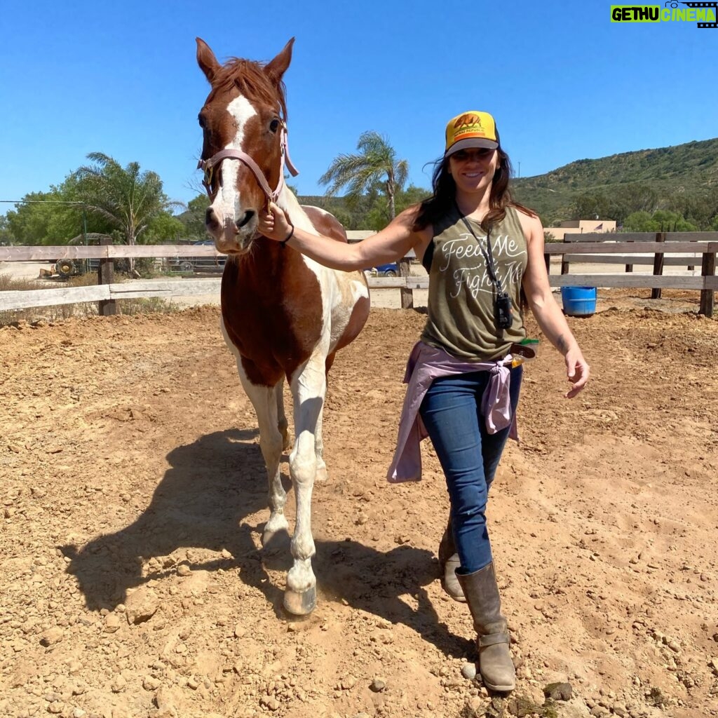 Cat Zingano Instagram - When there is a horse, there is a happy place. 🤗 And who remembers Deana Carter’s Strawberry wine? One of the favorite country singers of my youth. Even if you don’t listen to country currently, what’s your favorite country song? 🎶 #music #cowtown #equine #horses #country