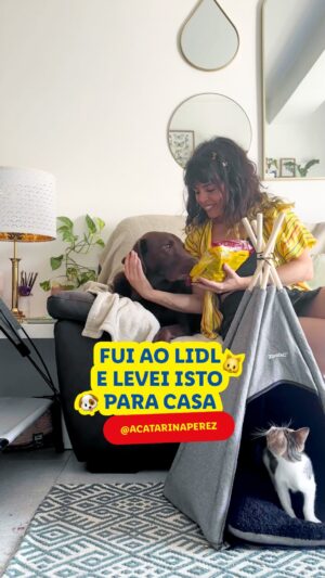 Catarina Perez Instagram - Fomos na aventura da @acatarinaperez 🐾encontrei uma gatinha na rua e levei-a para casa🐾 e demos-lhe uma mãozinha com produtos em conta para o Spike e para a Siesta. 

Corre para a loja, vê a gama completa que temos para os patudos aí de casa e aproveita os preços só esta semana. ​

#LidlPortugal
