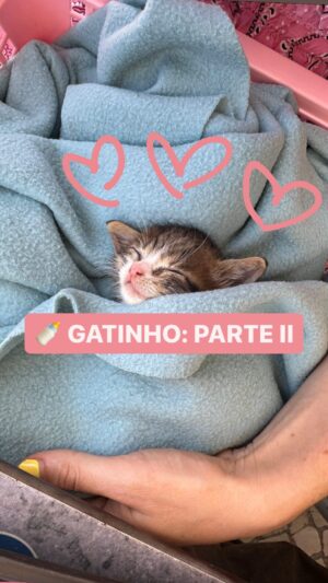 Catarina Perez Instagram - Obrigada por todas as palavrinhas de apoio 💘 está a resultar!! 🥲 esta 🌸MENINA🌸 está cada vez mais forte e bem-disposta ☀️🐱🌼