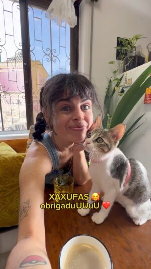 Catarina Perez Instagram - CONSEGUEM VER A CAUDINHA A COMEÇAR A ENROLAR? 🥹💖 no próximo episódio: Siesta viaja de avião e vai de férias 🌴🐱🍹✈️