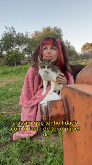 Catarina Perez Instagram - agora acrescentem à equação da adolescência felina a parte em que esta gatita bonita tem de fazer massagens à outra gatita bonita para xixi e cocó, levá-la à acupuntura e ao vet regularmente 🥲 adivinhem quão reclameira ela fica de 0 a 10…? 😾 exacto.