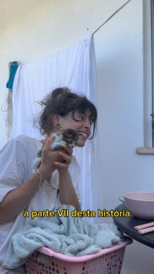 Catarina Perez Instagram - NO PRÓXIMO VÍDEO JÁ POSSO MOSTRAR A FAMÍLIA NOVA DA GATINHA 💕🐱💕 obrigada por todo o apoio e carinho 🌸✨