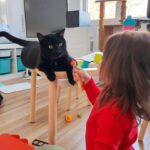 Catherine Francoeur Instagram - Photo dump de février (en retard, fidèle à moi-même🙄) 1. Essayer de reproduire un gâteau vu sur Pinterest alors que je n'ai absolument aucune habileté en décoration de gâteau 🤝🏻 2. Ballons ballons ballons paaaartout 🎈 3. Passion hot wheels de Mario 🚙 4. La meilleure chose que j'ai pu installer dans mon salon: ce meuble Trofast du Ikea pour ranger les jouets. Mon mental se porte bien mieux 😅🤪 5. Enfin avoir une date pour la parution de mon prochain roman 🤭 6. Premier tournage pour Monsieur Toast 🐈‍⬛ 7. "Manger fraise Tooooo?" 🍓 8. Jamais me lasser de prendre burger frites au resto 9. Chacune son coloriage 🥤🐢