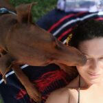 Catherine Mazoyer Instagram - Nikki Nikki six ❤️🐕