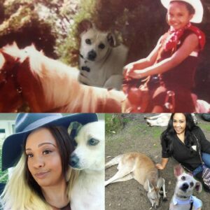 Catherine Sutherland Instagram - #flashbackfriday #fanfriday 
That time @karanashley wanted to show her love for my dog #odie and created a photo collage😂 I particularly love your blonde hair in the one photo!!!

#catherinesutherland #karanashley #funnyphotos #powerrangers #yellowranger