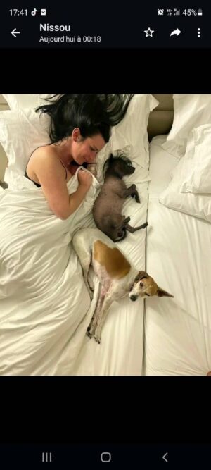 Cécile Consul Instagram - Mes amours❤
Yen a qui mettent leurs gosses..leurs chéris 
Et puis y a moi..🙂🌞

#complicité #dog #elvis❤ #ina #love