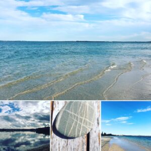 Celia Ireland Instagram - ‘Time in nature soothes my soul’s lovely wild’ Angie Welland-Crosby. Mine too!