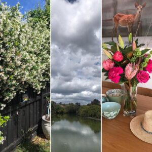 Celia Ireland Instagram - Nature in full bloom. Go well, take the day and breathe it in xxxx