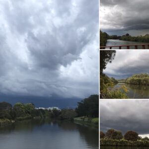 Celia Ireland Instagram - A storm brewing along the Cooks River, Ewen Park, ‘Goolay'yari’ meaning ‘pelican’ so beautiful