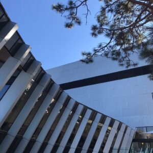 Celia Ireland Instagram - When architecture and nature collide....National Museum in Canberra, catching some winter sun, sending love to all x