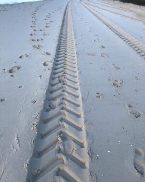 Celia Ireland Instagram - Morning walk...sky, sand, sea. Big love to all xx