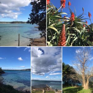 Celia Ireland Instagram - Darook Park, Gunnamatta Bay. Land of the Gweagal people, a Dharawal speaking clan. I stand in solidarity with Aboriginal and Torres Strait Islander peoples. Change the day, not the day to celebrate.