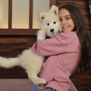 Cemre Demircan Instagram - Stüdyoda da resim çekilmedik demeyiz...😄Pamuk🥰🥰

@daricafotohan

#samoyedlovers #pamukbizimle