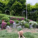 Cha Hee Instagram - 그저 하루하루 행복하게~