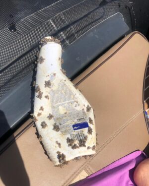 Chabeli Sastre González Instagram - Ogni volta che possiamo aiutiamo gli animaletti, e non solo ,da tutte quelle trappole inquinanti che sono nell’ambiente 
Che sia raccogliendo un sacchetto  di plastica dal suolo piuttosto che pulendo un’intera spiaggia non ha importanza 
È la coscienza del gesto che ha potere, è già il fatto di guardarsi intorno non dando per scontato che lo farà qualcun’altro al posto nostro. 
♥️🐙🐢🦉
