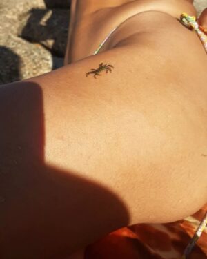 Chabeli Sastre González Instagram - 🦀🐚🌬🌹