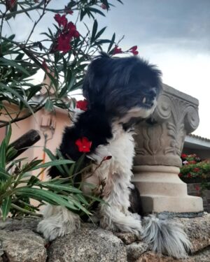 Chabeli Sastre González Instagram - 🦀🐚🌬🌹