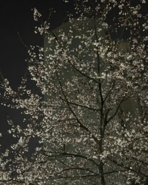 Chae Soo-ah Instagram - 건강하게 해주세요🙏🌸