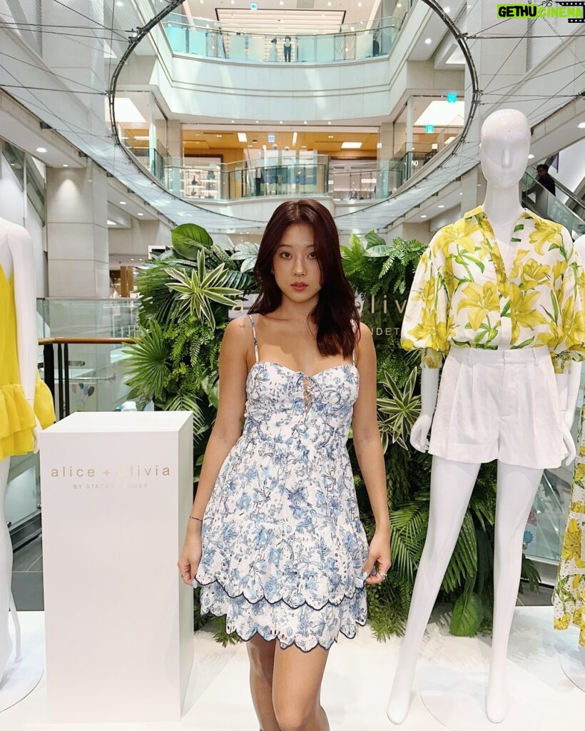 Chang Seung-yeon Instagram - 📍신세계 강남점 5층에 위치한 @aliceandolivia 매장에 다녀왔어요 *✧･ﾟ*˖·.❀ ❛ ֊ ❛ ❀ #광고 이번 24SS 제품들은 너무 싱그럽고 향긋한 느으낌 이더라고요! 옷을 입고 구경하는 내내 기분이 좋았답니다,,🌱 🗽뉴욕 브랜드인 만큼 개성 넘치고, 고급스러운 의류에 반해버렸..✨ 제가 입은 드레스는 ‘Daisy Tiered Ruffle Mini Dress’ 👗 ! ! 너무 청량•사랑스럽고, 라인이 보완되면서 편안함까지 🥹 외에도 너무 이쁜 옷이 많아서 아주 힘들었네요.. 😮‍💨 이번 봄, 여름 옷은 앨리스앤올리비아 에서 만나보세요 ♥ - ♥ #앨리스앤올리비아 #aliceandolivia #신세계강남