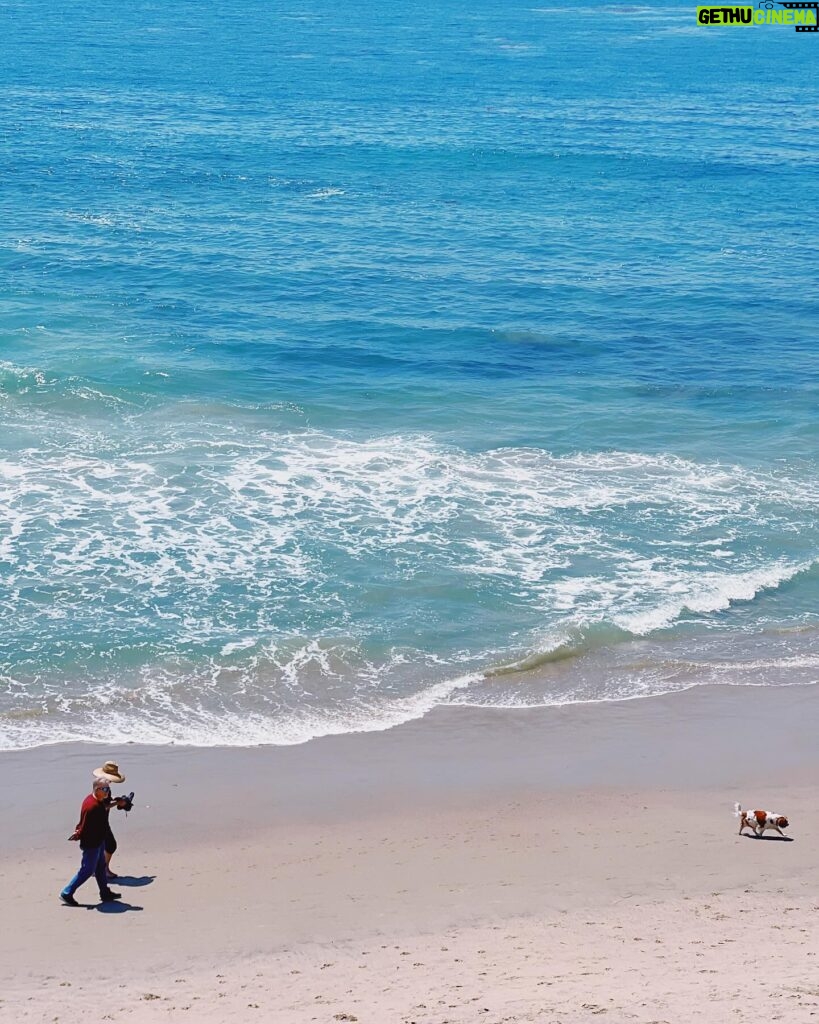 Chang Seung-yeon Instagram - Enjoying the beautiful California ☀️🌊🌴🌵✨