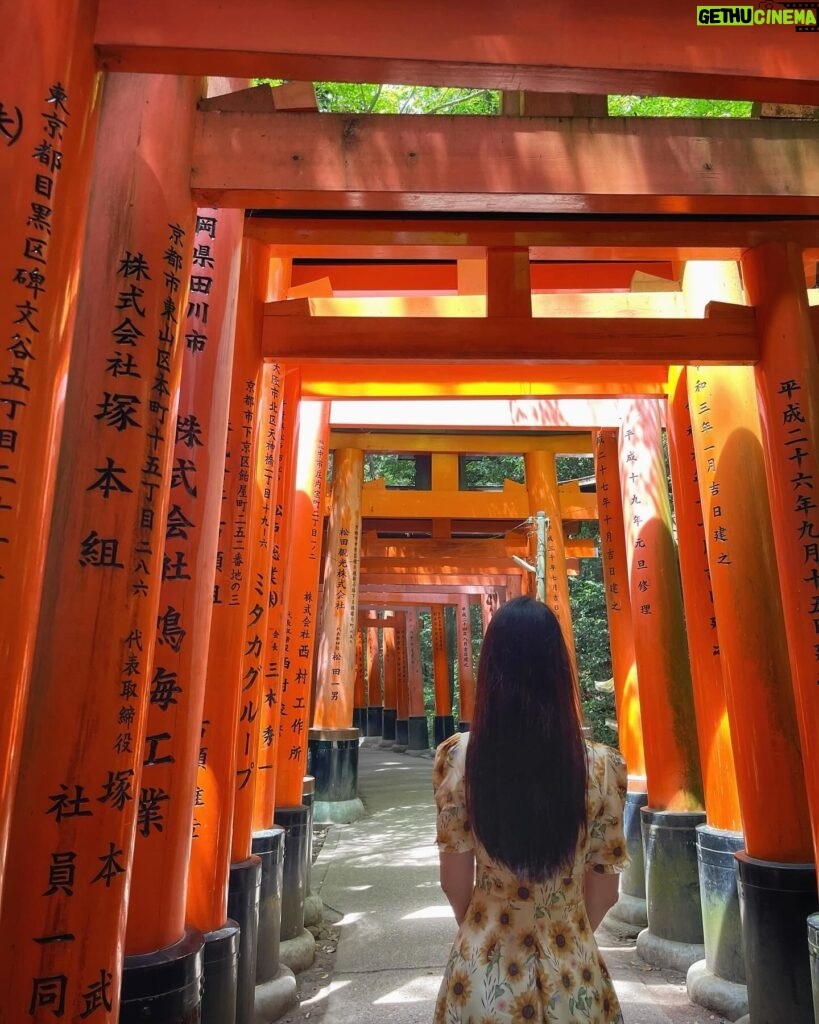 Chanidapa Pongsilpipat Instagram - The longer you wait for something, the more you appreciate it when you get it. ⛩️🌻 #fushimiinaritaisha #fushimiinarishrine #kyoto #japan #ChaniInAsia #gucci