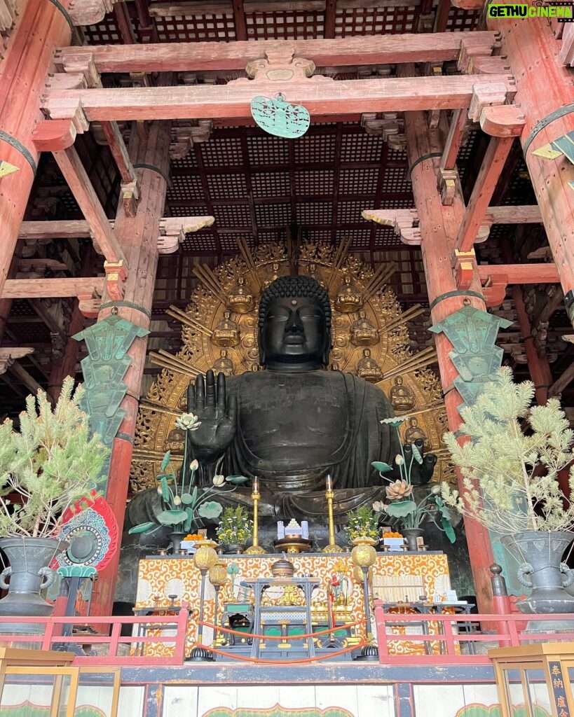 Chanidapa Pongsilpipat Instagram - ในวันที่ฝนปรอยๆ แต่คนก็ยังเยอะทุกที่ 🌦️🎎 #todaijitemple #greatbuddhahall #nara #japan #ChaniInAsia #FlatFF0634 #gucci