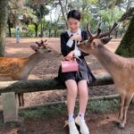 Chanidapa Pongsilpipat Instagram – ภาพที่มีเสียง 🦌~ เลื่อนรูปถัดไป #narapark #naradeer #naradeerpark #nara #japan #ChaniInAsia #FlatFF0634 #gucci