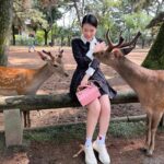 Chanidapa Pongsilpipat Instagram – ภาพที่มีเสียง 🦌~ เลื่อนรูปถัดไป #narapark #naradeer #naradeerpark #nara #japan #ChaniInAsia #FlatFF0634 #gucci