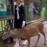 Chanidapa Pongsilpipat Instagram – ภาพที่มีเสียง 🦌~ เลื่อนรูปถัดไป #narapark #naradeer #naradeerpark #nara #japan #ChaniInAsia #FlatFF0634 #gucci