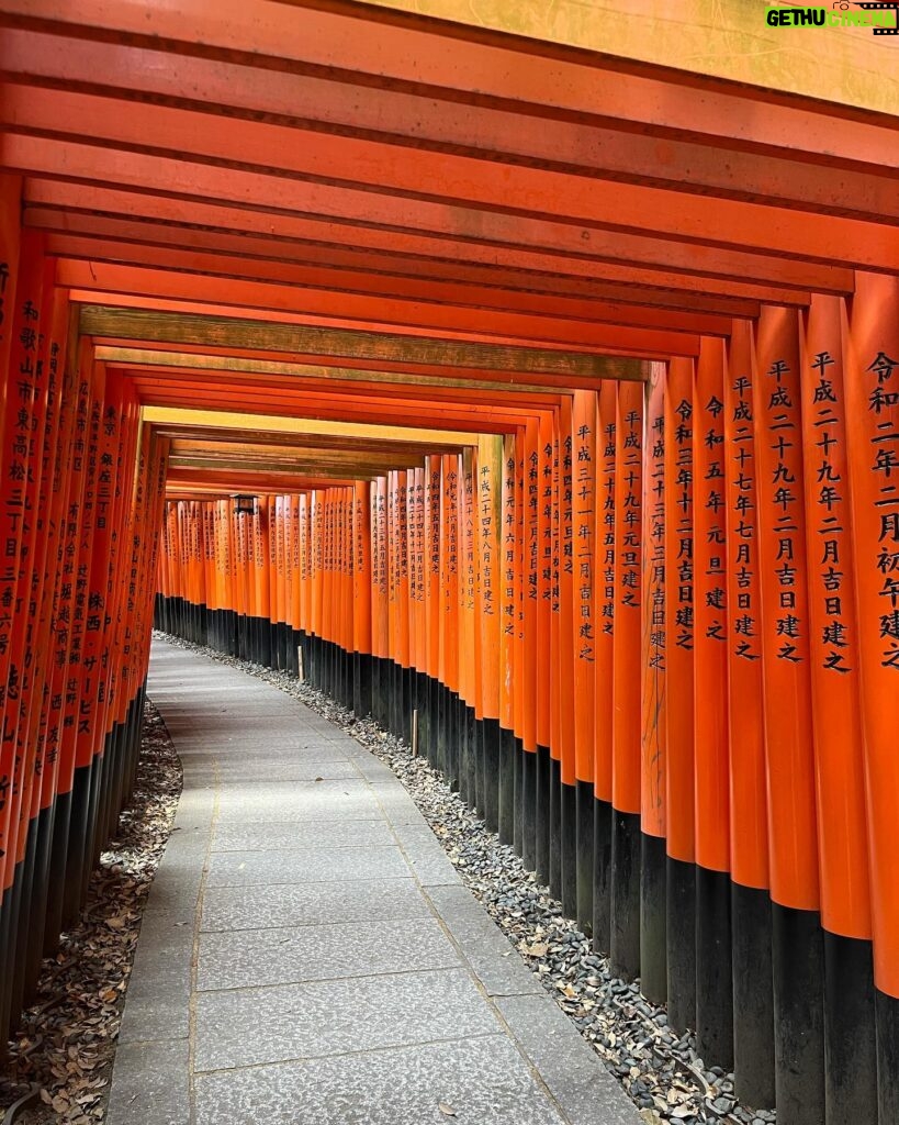 Chanidapa Pongsilpipat Instagram - The longer you wait for something, the more you appreciate it when you get it. ⛩️🌻 #fushimiinaritaisha #fushimiinarishrine #kyoto #japan #ChaniInAsia #gucci