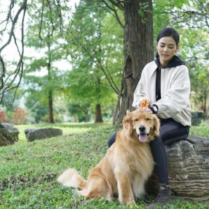 Chantel Liu Instagram - 天氣開始轉涼了，週末還是必須帶小孩、毛小孩出來透透氣，曬曬太陽🥰

@koolpal_tw 
@animalplanet.tw 
@weikaichung