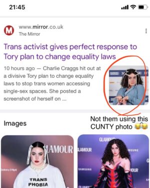 Charlie Craggs Instagram - Not me single-handedly ruining rishi Sunak’s anti trans re-election campaign lol Take note @keirstarmer ya spineless snake. ( Thank you @dailymirror @soph_husk ) #toriesout #tories #rishisunak