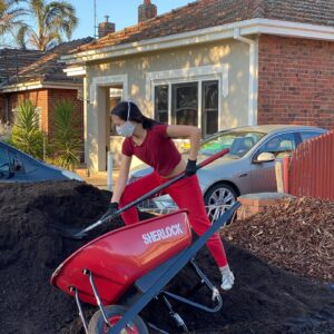 Charlotte Nicdao Instagram - ~~ Shovel Content ~~ we’ve taken our combo of lockdown / first time ever having a backyard - and decided to make Bayden’s long term dream of growing one million vegetables come true. Lessons learned so far: it’s takes two very weak people 5 days to move two and a half tonnes of soil from the driveway to the backyard, and Captain Judy likes to eat manure 🤦🏻‍♀️