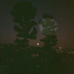 Charlotte Le Bon Instagram – Lune en salicorne 🌜