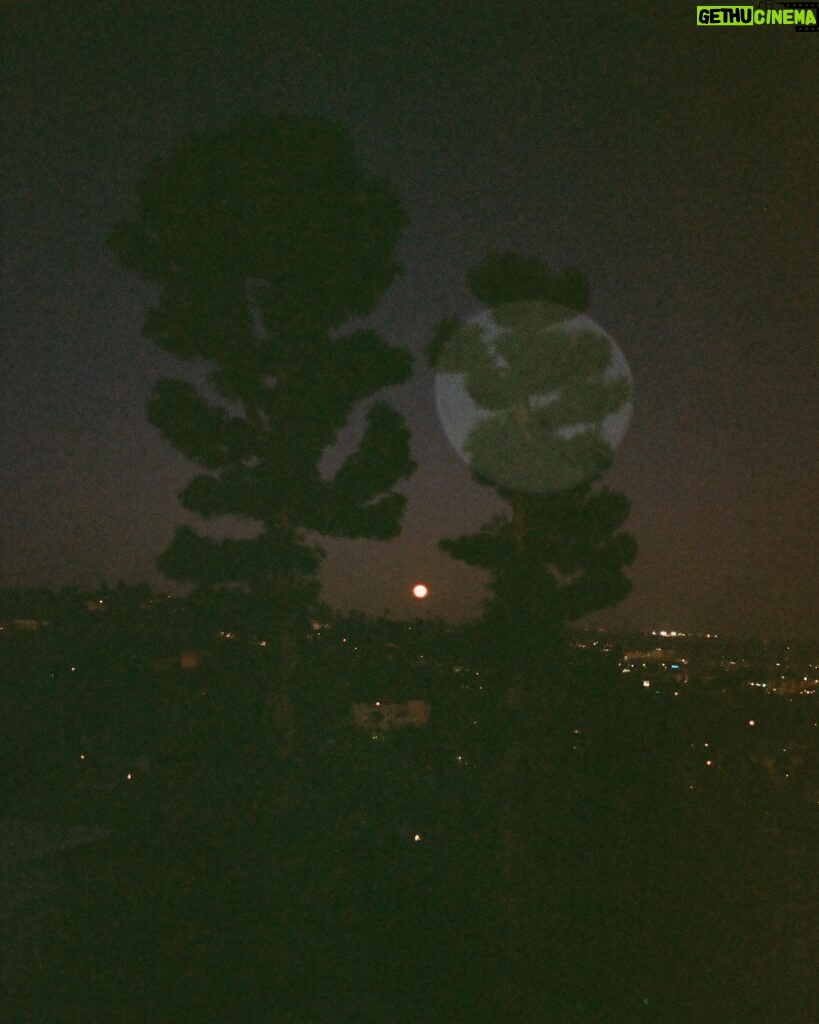 Charlotte Le Bon Instagram - Lune en salicorne 🌜
