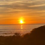 Charlotte Ross Instagram - Magical time in Cambria… (sound on) 🌊🙌❤️😆🌅🥾🏔🌲🦅🦭 #gratitude