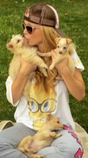 Charlotte Ross Instagram - Fostering saves lives and it has brought me soo much joy! If you’ve never fostered before, please consider it!🙏🏼 It can be as little as a few days or even months but it helps the animal(s) feel safe and learn consistent love which in turn makes them more adoptable. Please, think about going to your local county or city animal shelter and fill your home with love while helping save innocent lives❤️🐶🐱 #foster #fosteringsaveslives #fostercare #fosterdog #fosterkittens #adoptdontshop #dogs #cats