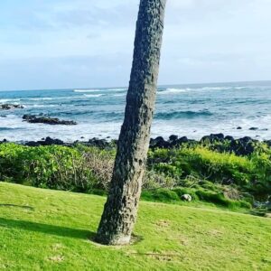 Charlotte Ross Instagram - Beautiful Kauai 🌺🌴👙🥾🌈#kauai #nofilter