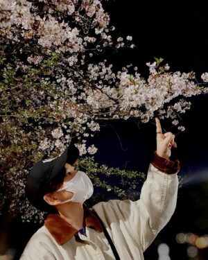 Chiaki Sato Instagram - 今年の桜たち🌸
そろそろ見納めかな。