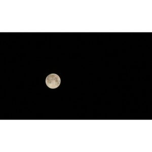 Chikako Fukuyama Instagram - Took pictures of the last superfullmoon of 2020 in case if you missed it ;) 2020年最後のスーパーフルムーン😎
.
#カメラ勉強中 #superfullmoon2020