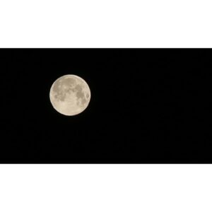 Chikako Fukuyama Instagram - Took pictures of the last superfullmoon of 2020 in case if you missed it ;) 2020年最後のスーパーフルムーン😎
.
#カメラ勉強中 #superfullmoon2020