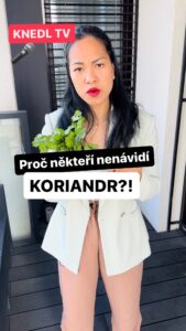 Chila Ta Thuy Instagram - Je náš vztah ke koriandru podmíněný naší genetikou, nebo si jen namlouváme, že nám nechutná? Náš štáb se vydal hledat odpověď. Do komentářů nám napište, jestli koriandr máte rádi, nebo máte jen špatný vkus. Přístí reportáž bude o největší dýni ve střední Evropě! #knedltv #koriandr #spetkachili