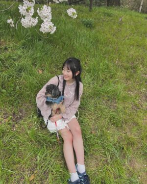 Chisaki Morito Instagram - 🌸
　
やっと春〜
　
ピンクのお洋服とっても珍しいです！笑
でも春っぽくて可愛いいいい
　
　

ぽんちゃんと久しぶりにおさんぽ🐾
　
　
#春服 
#ちさきふく 
#ピンクニット 
#spezial 
#adidas
#桜 
#愛犬と散歩