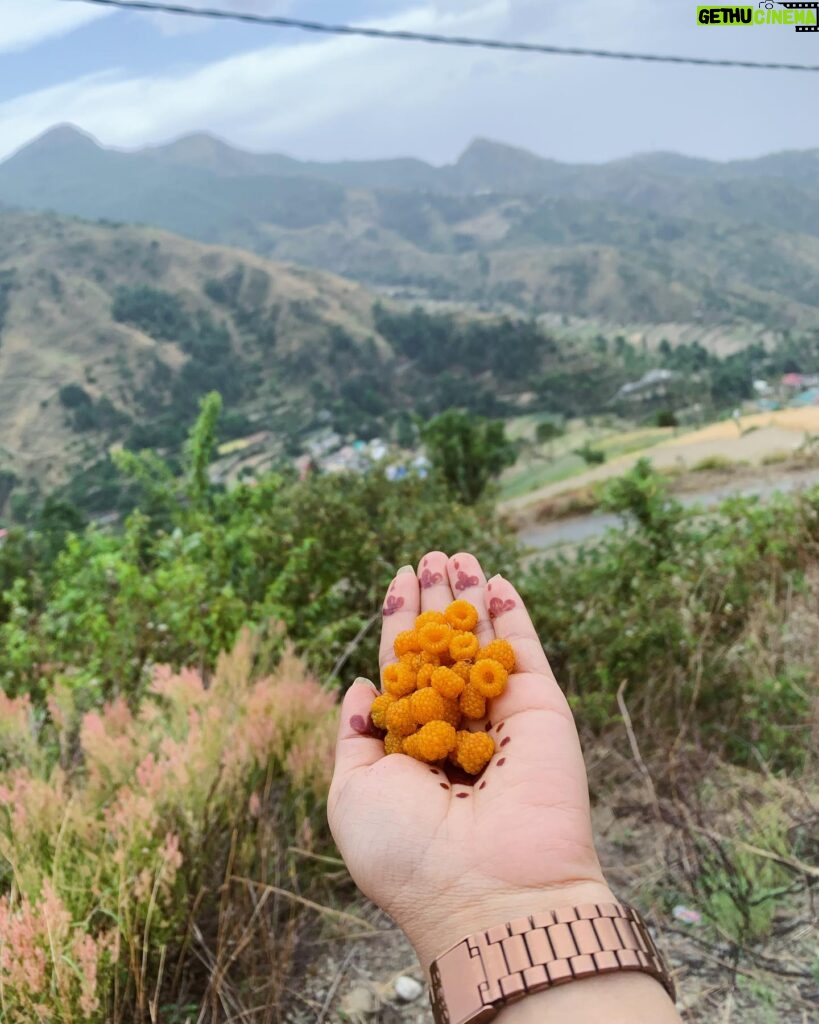 Chitrashi Rawat Instagram - Sunday pahadi dump ♥️ . . All things in Jaunsar-Bawar : From eating the world famous jaunsari rajma to learning the traditional folk dance to teaching it to my non pahadi hubs. From plucking my childhood favourite pahadi berries ( which can give vilaayti berries a run for their money) 😜 to enjoying the sudden thunder storm.. I did all at this most authentic Pahadi Homestay all thanks to our dear friend KS chauhan ji 🙏