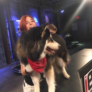 Chloe Dykstra Instagram - Firmly(ish) in my 30’s, I recently looked back on my life and have discovered that the actual love of my life has really been Laika all along. 

Happy 7th birthday, best girl.