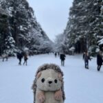 Chloe So Instagram - ☃️❄️