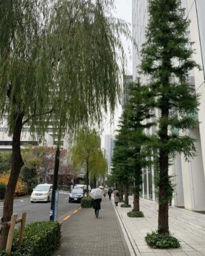 Choi Yu-hwa Instagram - 엔저때 갔지만 숙박비는 더 올라서 예전에 갔을때랑 물가는 비슷하게 느낀 도쿄여행. 그치만 처음으로 도쿄타워도 보고 일본 가면 일본음식 위주로만 경험해보려했다면 이번엔 프렌치 음식도 먹어보고 좋아하는 아이스크림집도 또 가보고. 예전엔 시부야에 묵었는데 이번엔 긴자에 묵어보고. 익숙하면서도 새로웠던 도쿄여행🫶