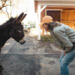 Christa Miller Instagram - Sometimes you just need to spend the day with horses and donkeys who want cookies and cuddles and then your heart is full 😊🍪 The work @skydogsanctuary does rescuing wild horses who’ve been rounded up by the BLM is absolutely amazing. Please check them out and support if you can! 🐴💛 📸 @catielaffoon