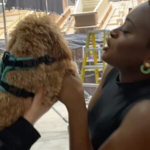 Christina Chong Instagram - @christinachongx (and her ADORABLE pup Runa Ewok) are taking over our Instagram today for #AAPIHeritageMonth! Follow along with them on stories and get ready for #StarTrek #StrangeNewWorlds season 2 coming June 15 💫🖖