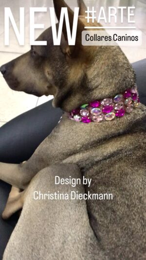 Christina Dieckmann Instagram - NEW🤩 Estilosos Collares Caninos, para las consentidas de la casa!🐶🥰 Design by Christina Dieckmann ➡️ Precios a partir de 50$ #arte #art #collarescaninos #hechoamano #moda #tendencia #style #estilo